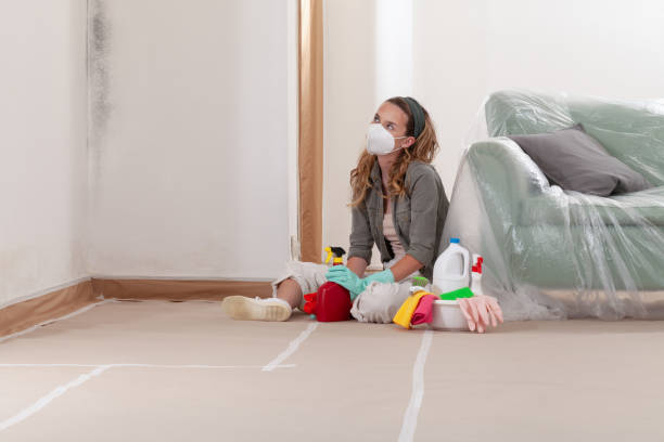 Reliable Mold Removal contractor in Mount Holly, NJ by WQB Mold Removal